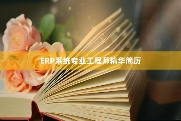 ERP系统专业工程师精华简历